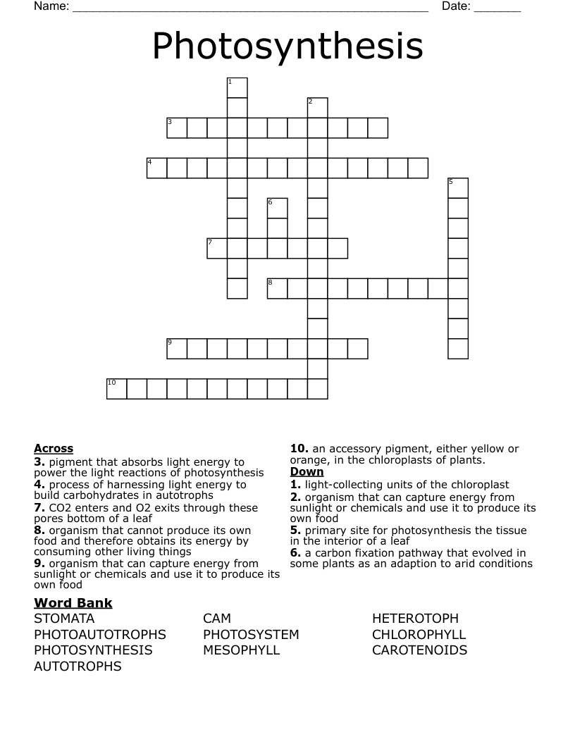 Photosynthesis Crossword