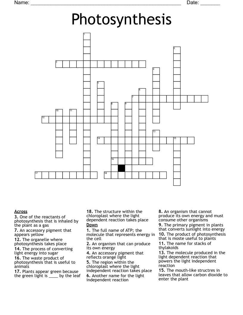 Photosynthesis Crossword