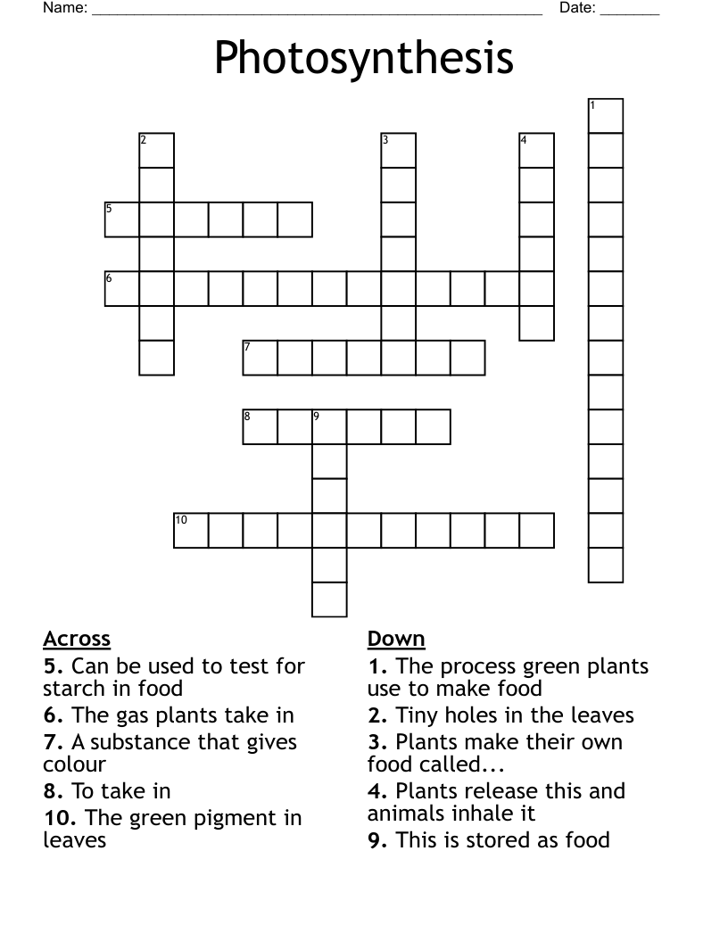 Photosynthesis Crossword