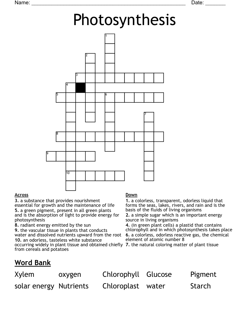 Photosynthesis Crossword