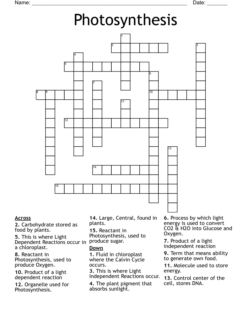 Photosynthesis Crossword