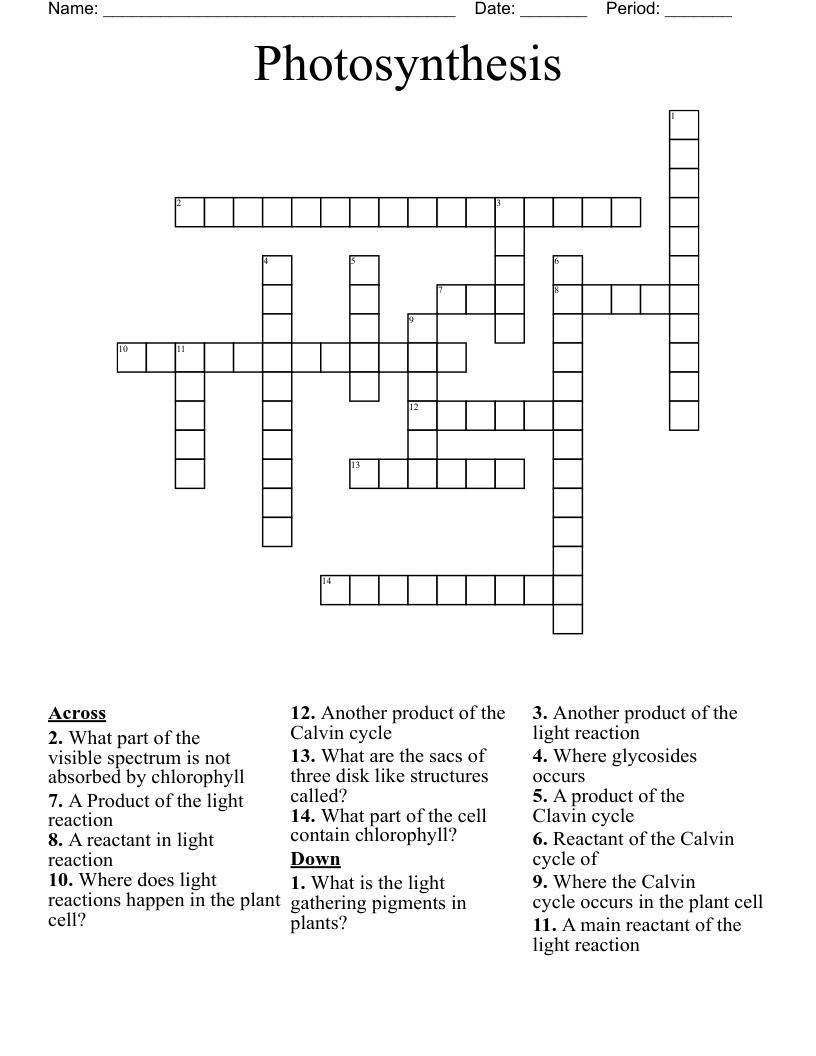 Photosynthesis Crossword