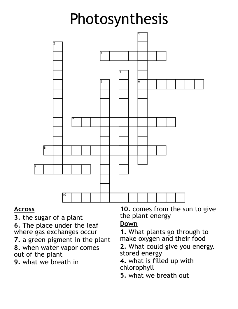 Photosynthesis Crossword