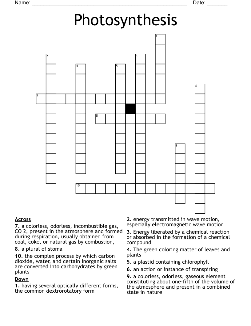 Photosynthesis Crossword