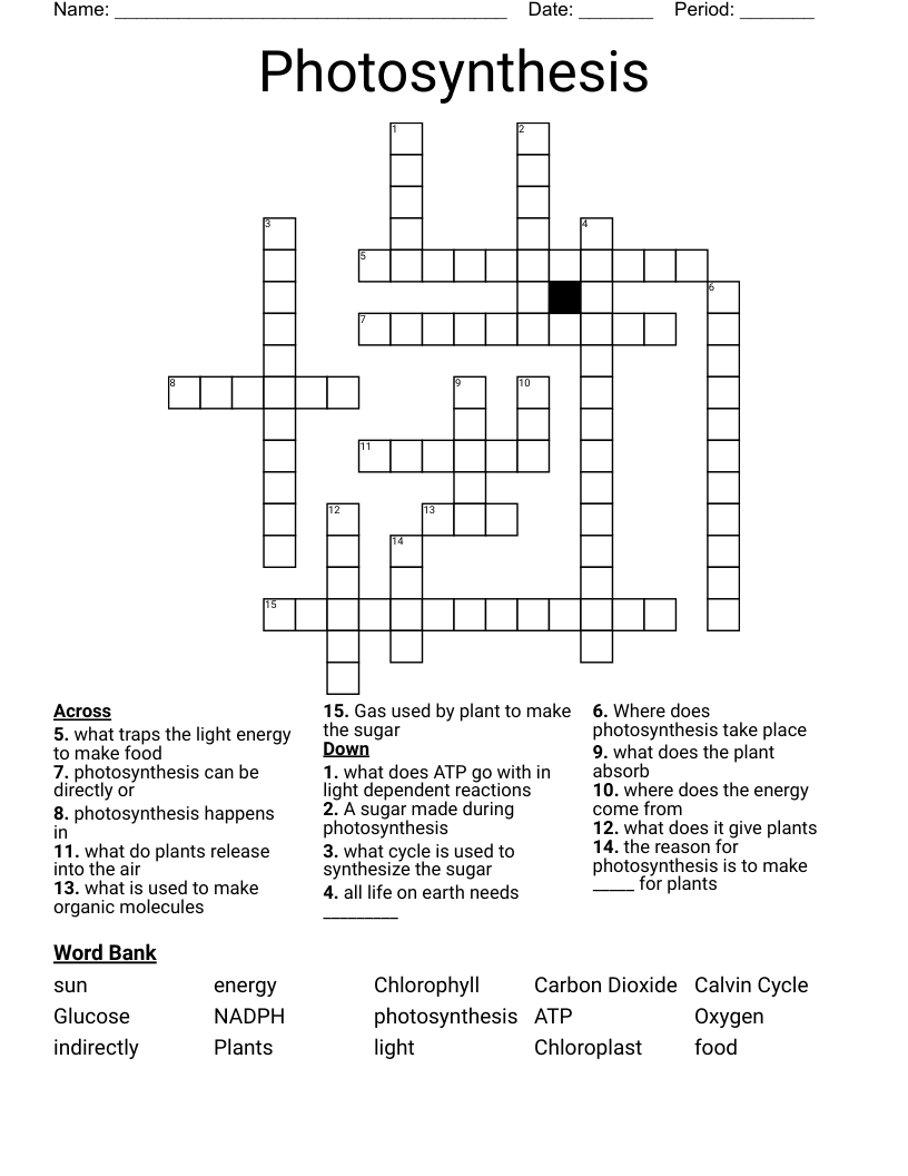 Photosynthesis Crossword