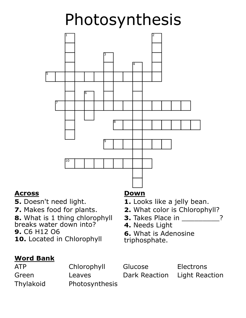 Photosynthesis Crossword