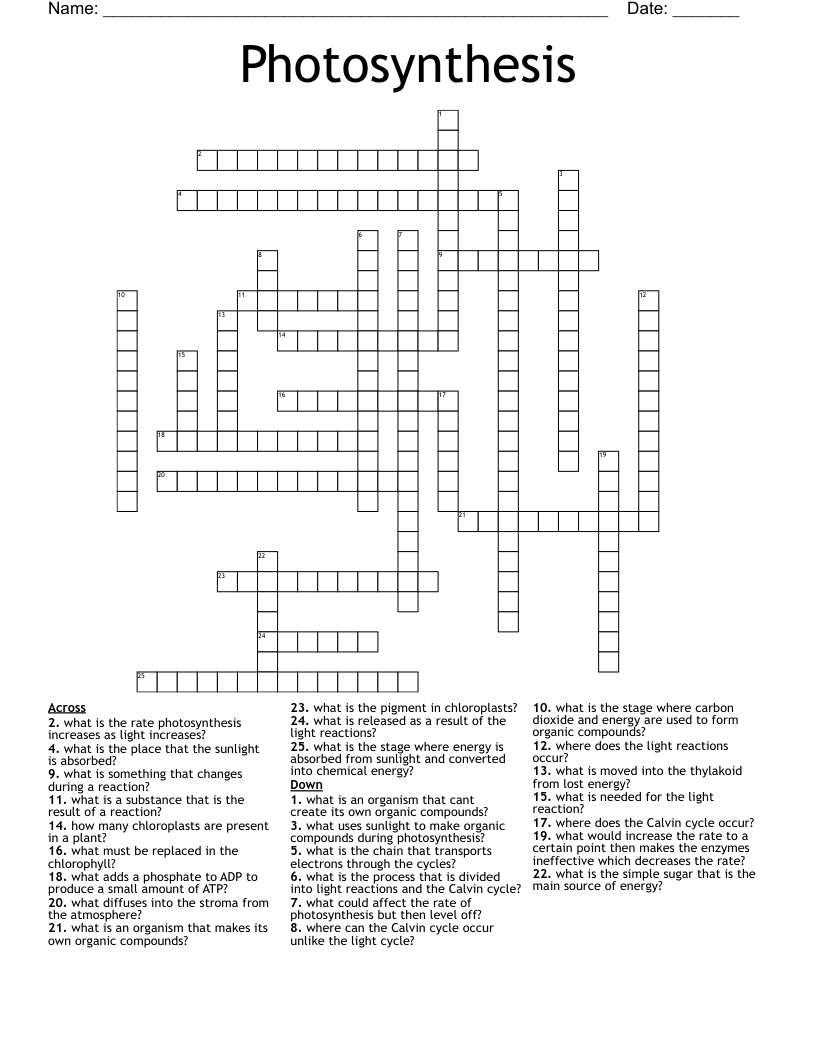Photosynthesis Crossword