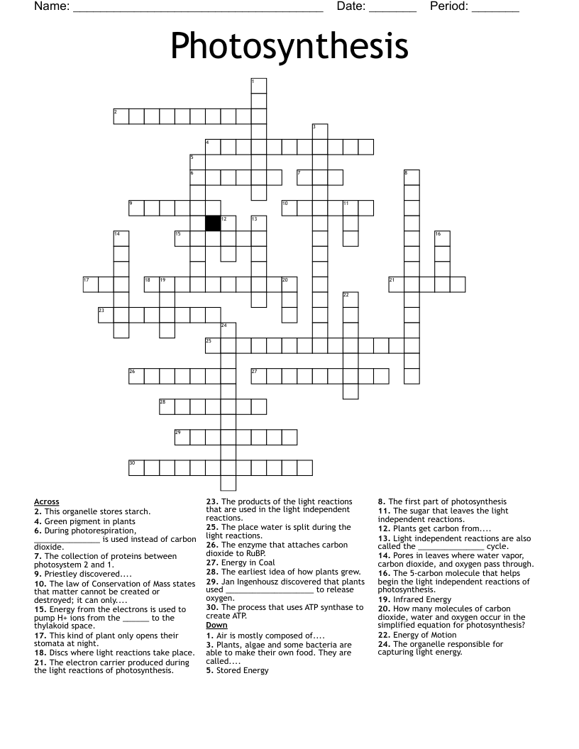 Photosynthesis Crossword