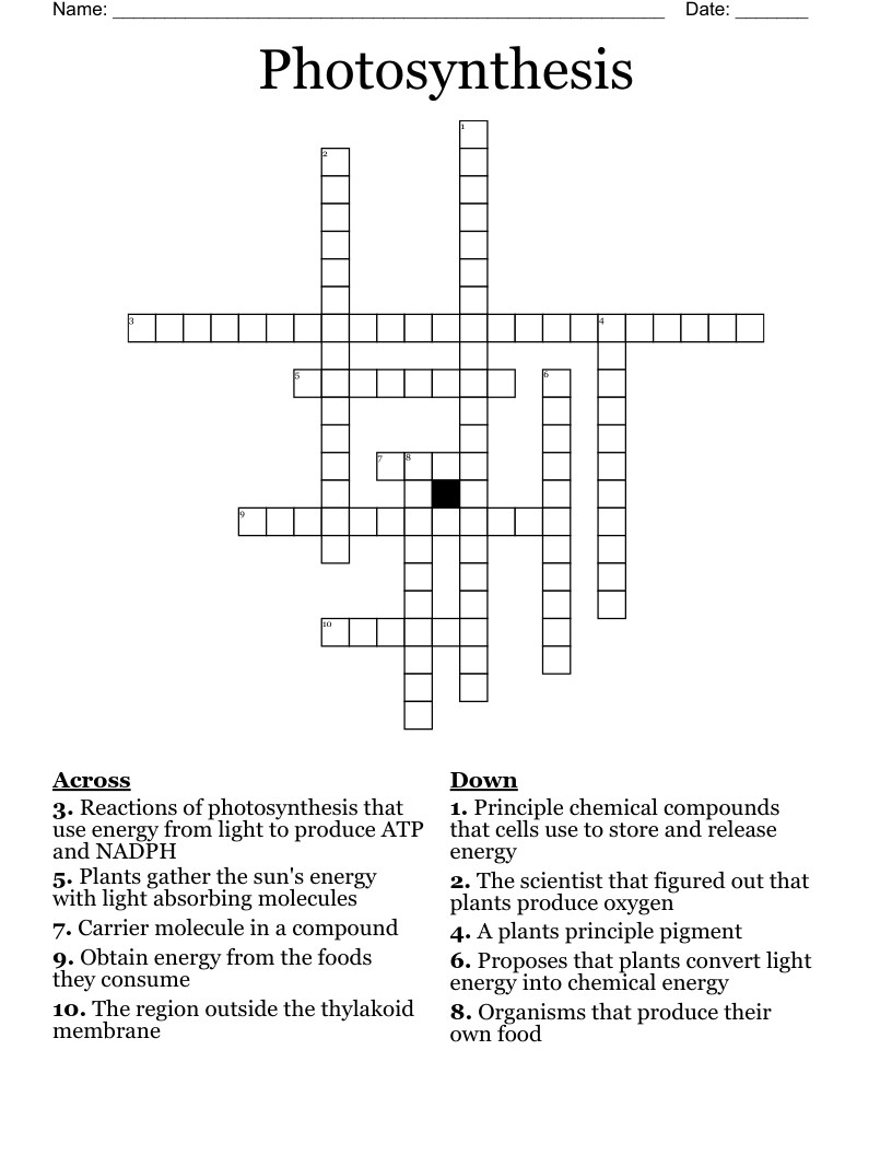Photosynthesis Crossword