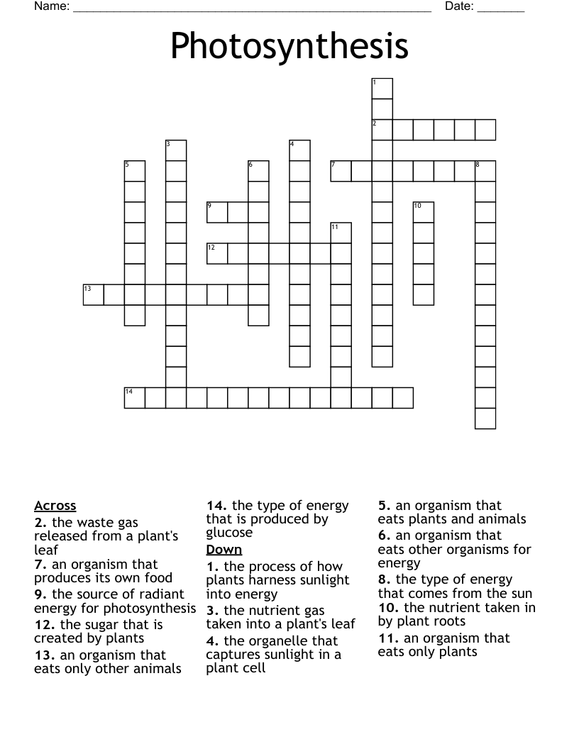 Photosynthesis Crossword