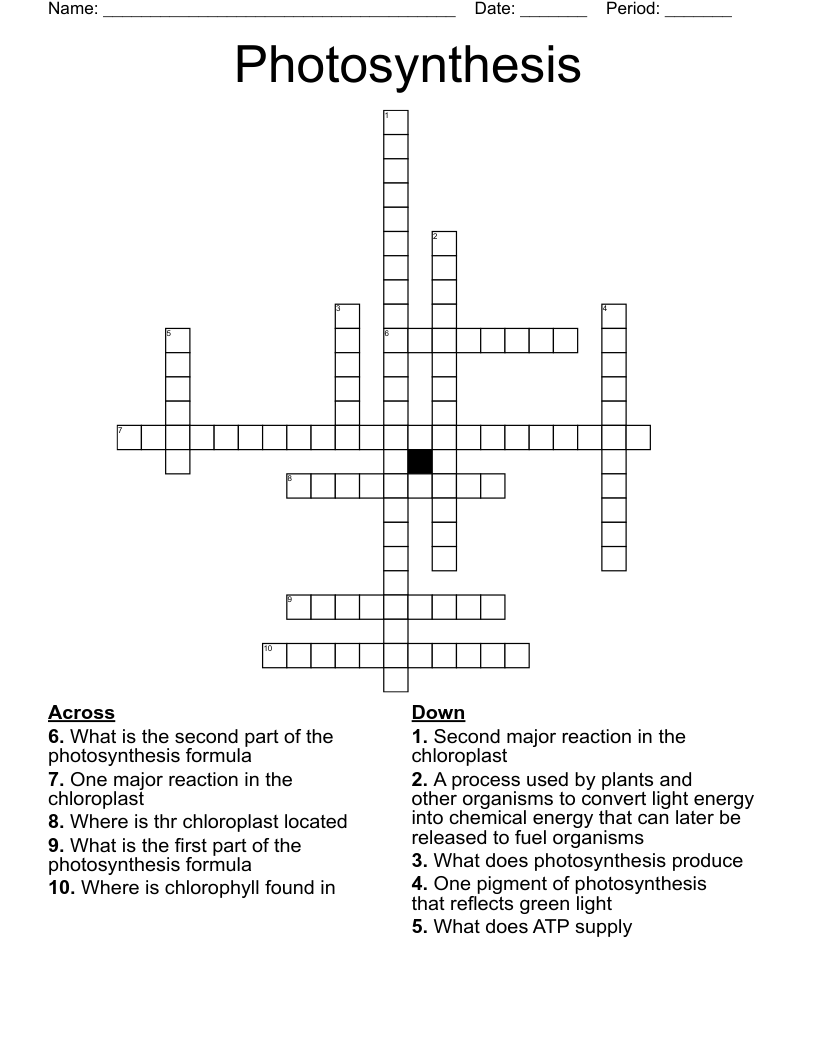 Photosynthesis Crossword