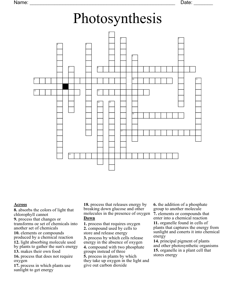 Photosynthesis Crossword