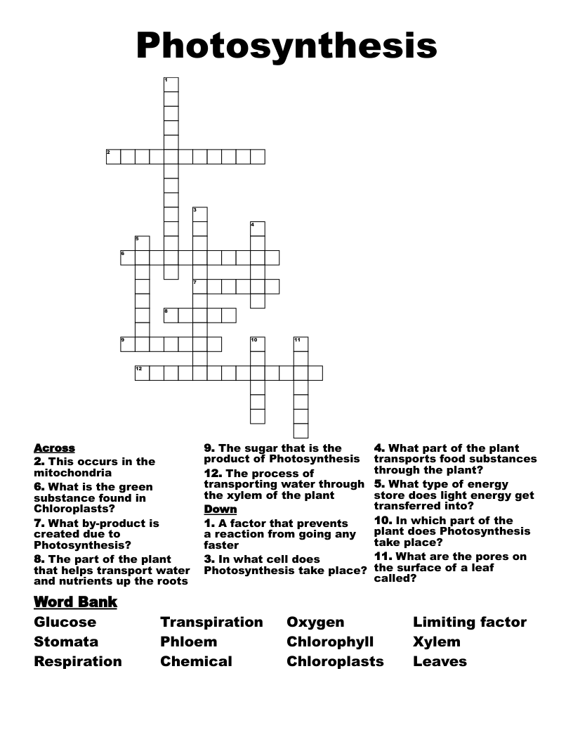 Photosynthesis Crossword