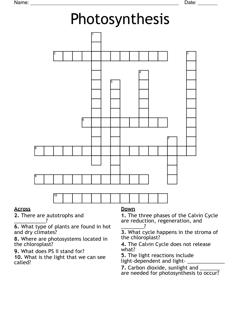 Photosynthesis Crossword