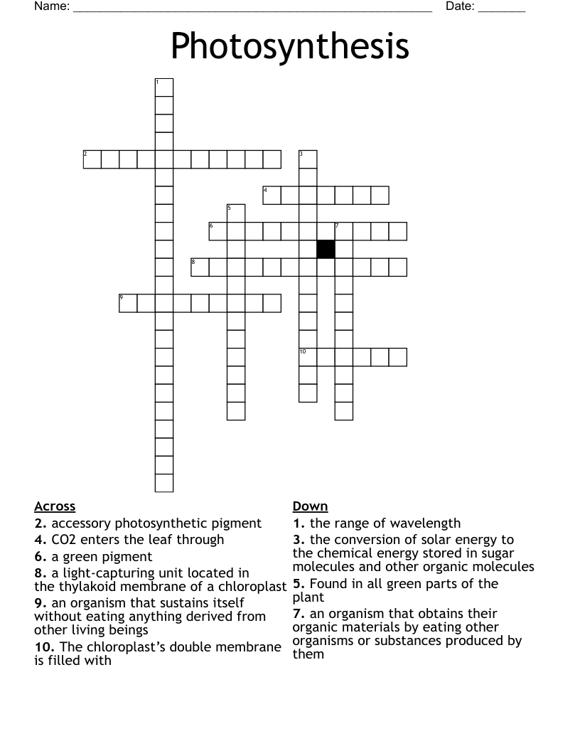Photosynthesis Crossword