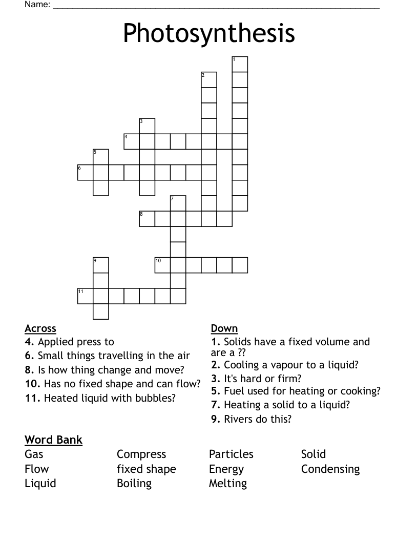 Photosynthesis Crossword