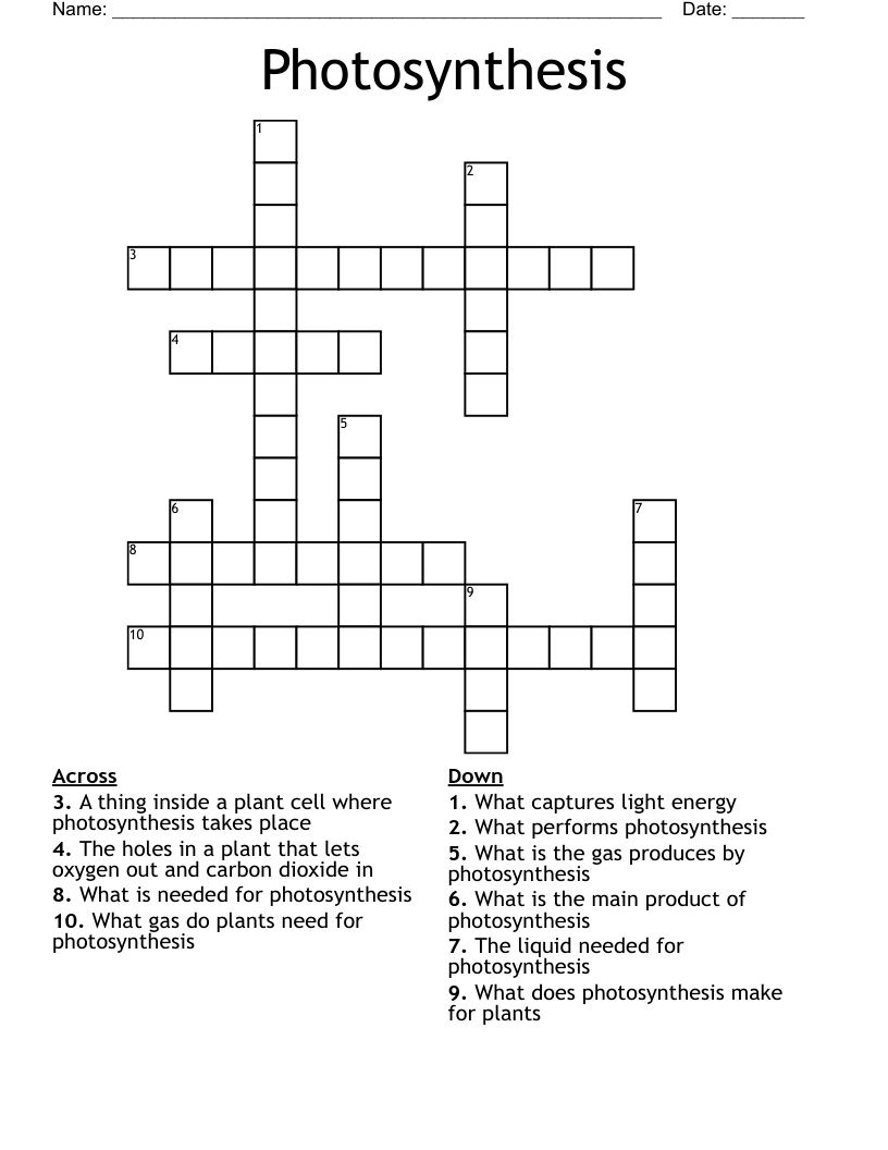 Photosynthesis Crossword