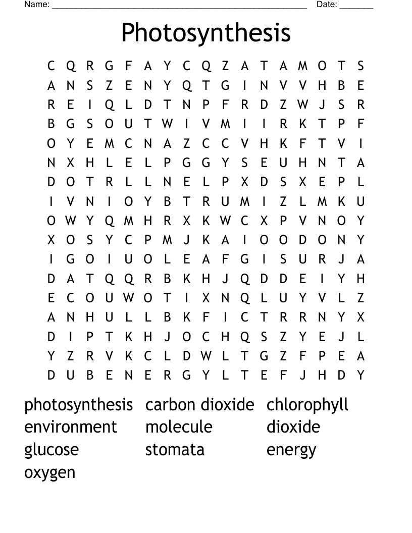 Photosynthesis Word Search