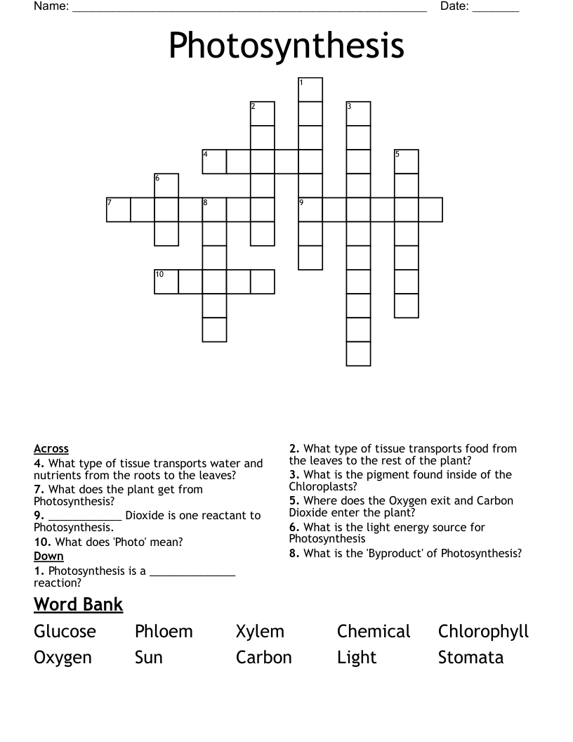 Photosynthesis Crossword