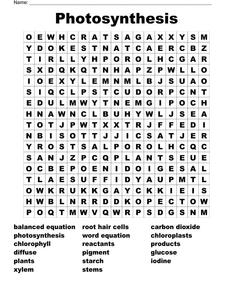 Photosynthesis Word Search