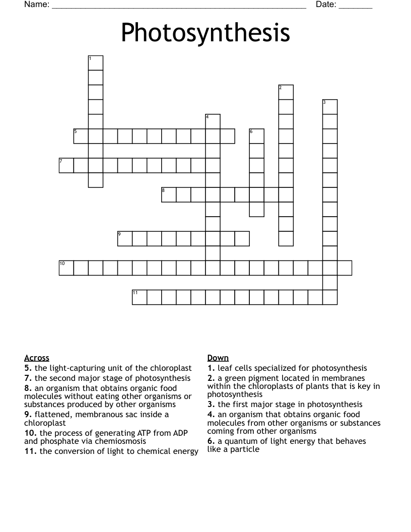 Photosynthesis Crossword