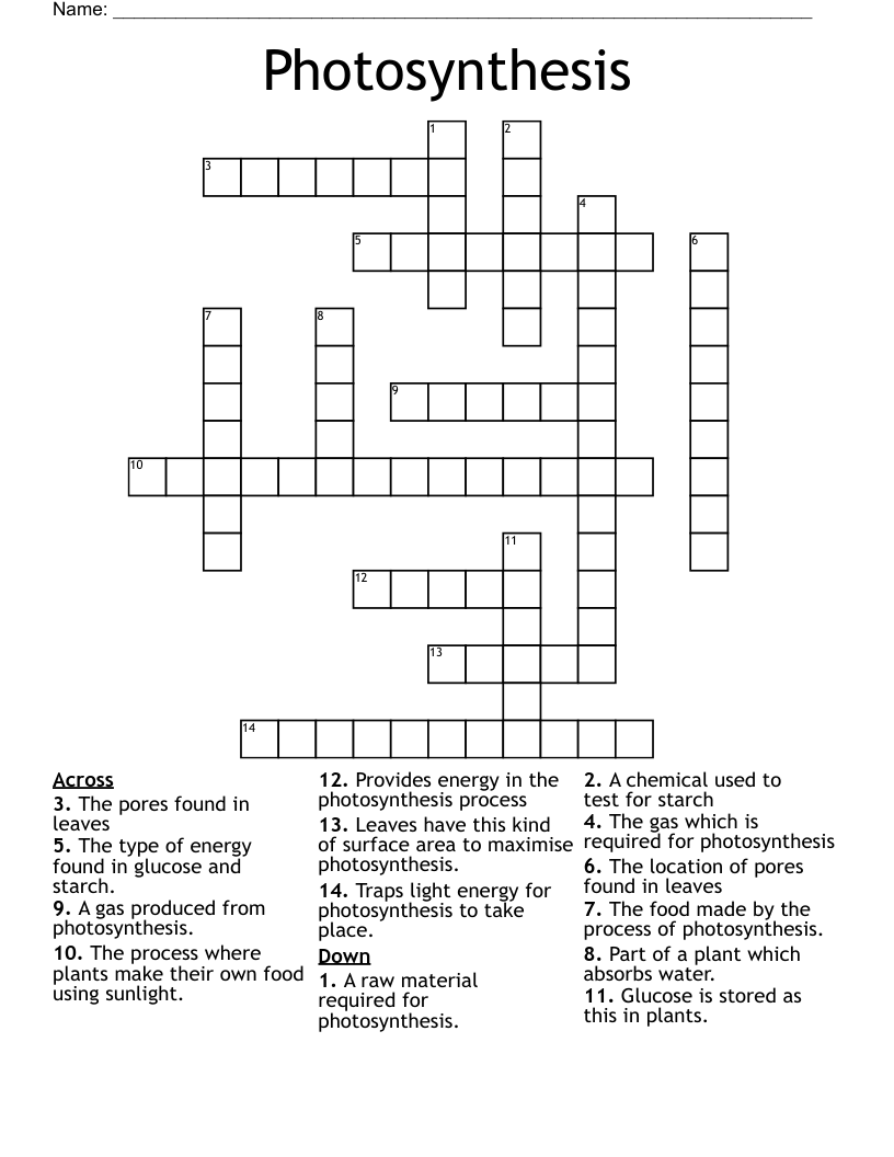 Photosynthesis Crossword