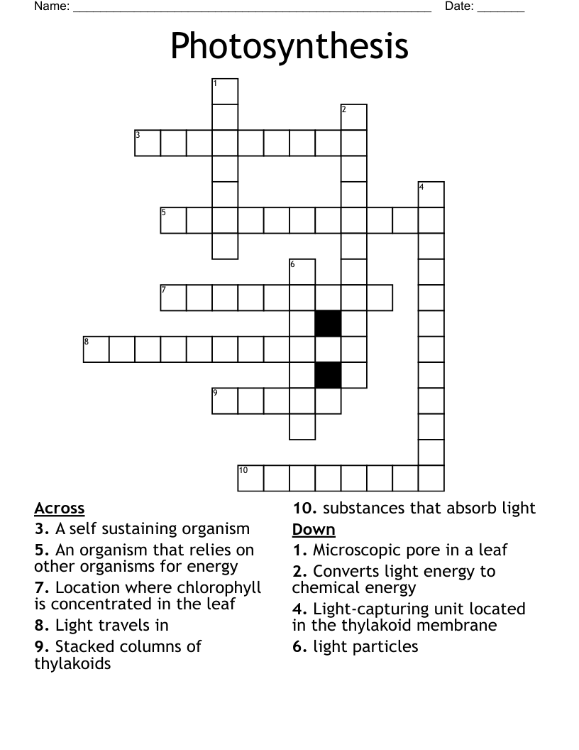 Photosynthesis Crossword