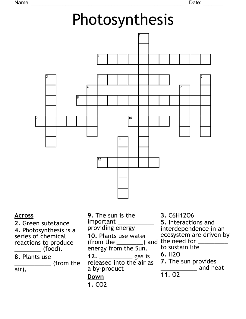Photosynthesis Crossword