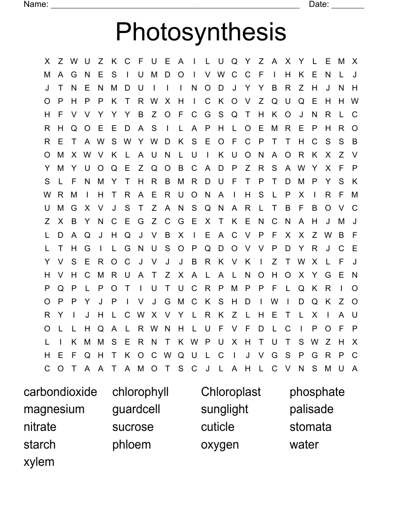 Photosynthesis Word Search