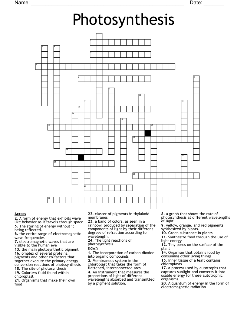 Photosynthesis Crossword