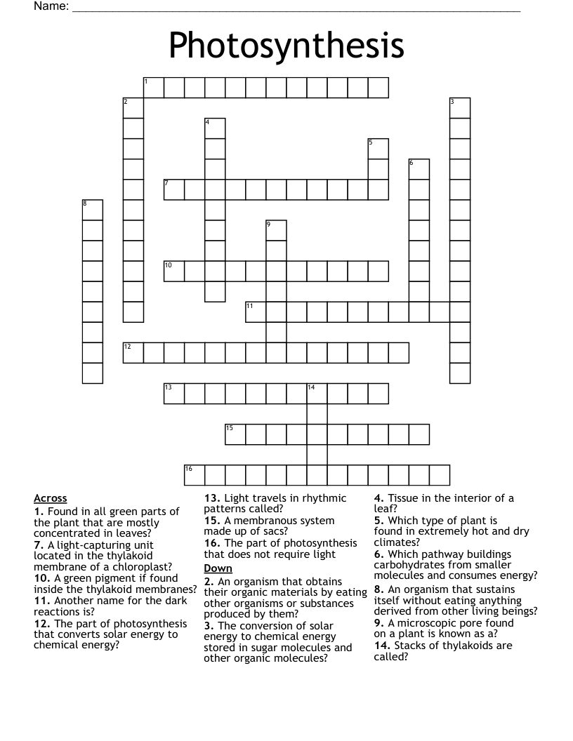 Photosynthesis Crossword