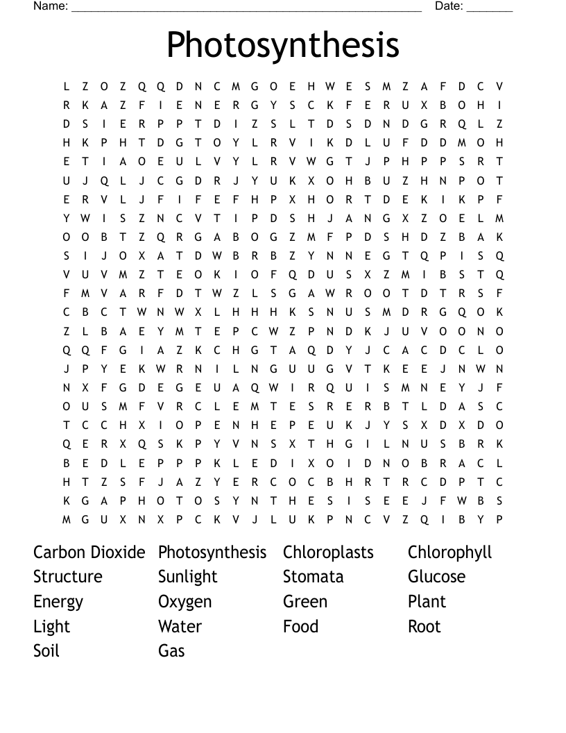 Photosynthesis Word Search