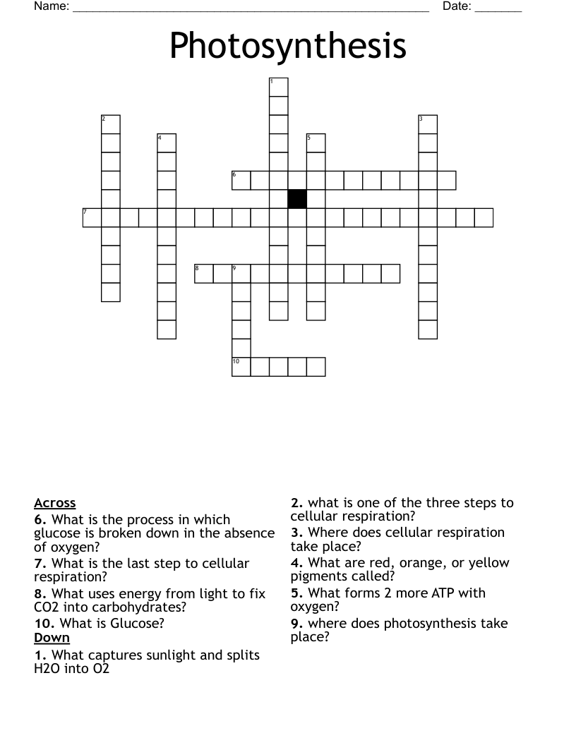Photosynthesis Crossword