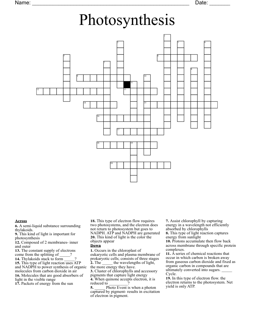 Photosynthesis Crossword