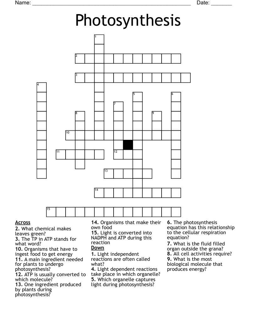 Photosynthesis Crossword