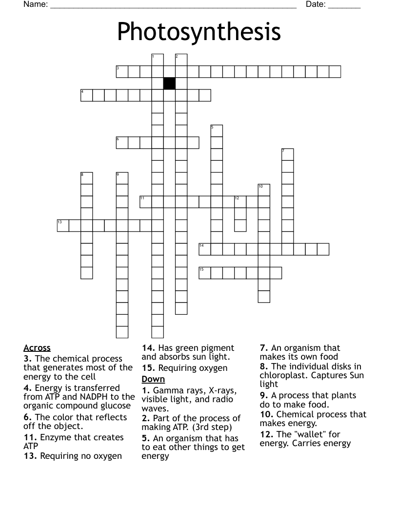 Photosynthesis Crossword