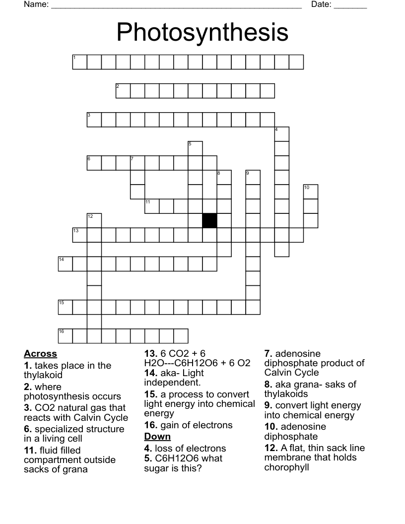 Photosynthesis Crossword