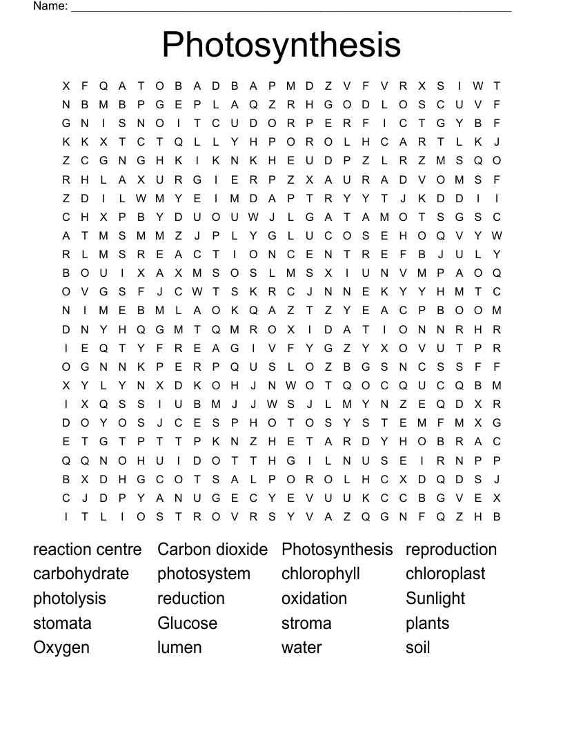 Photosynthesis Word Search