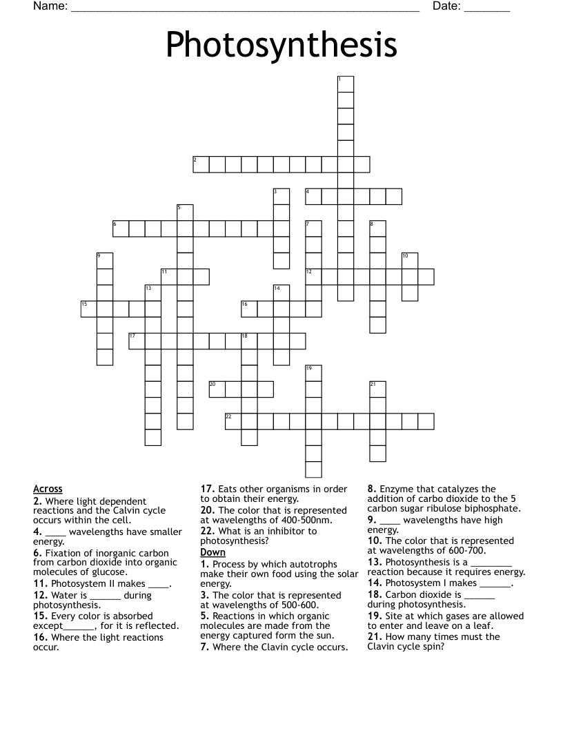 Photosynthesis Crossword