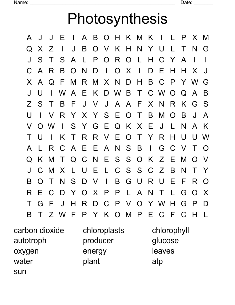 Photosynthesis Word Search