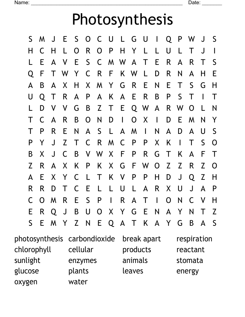 Photosynthesis Word Search