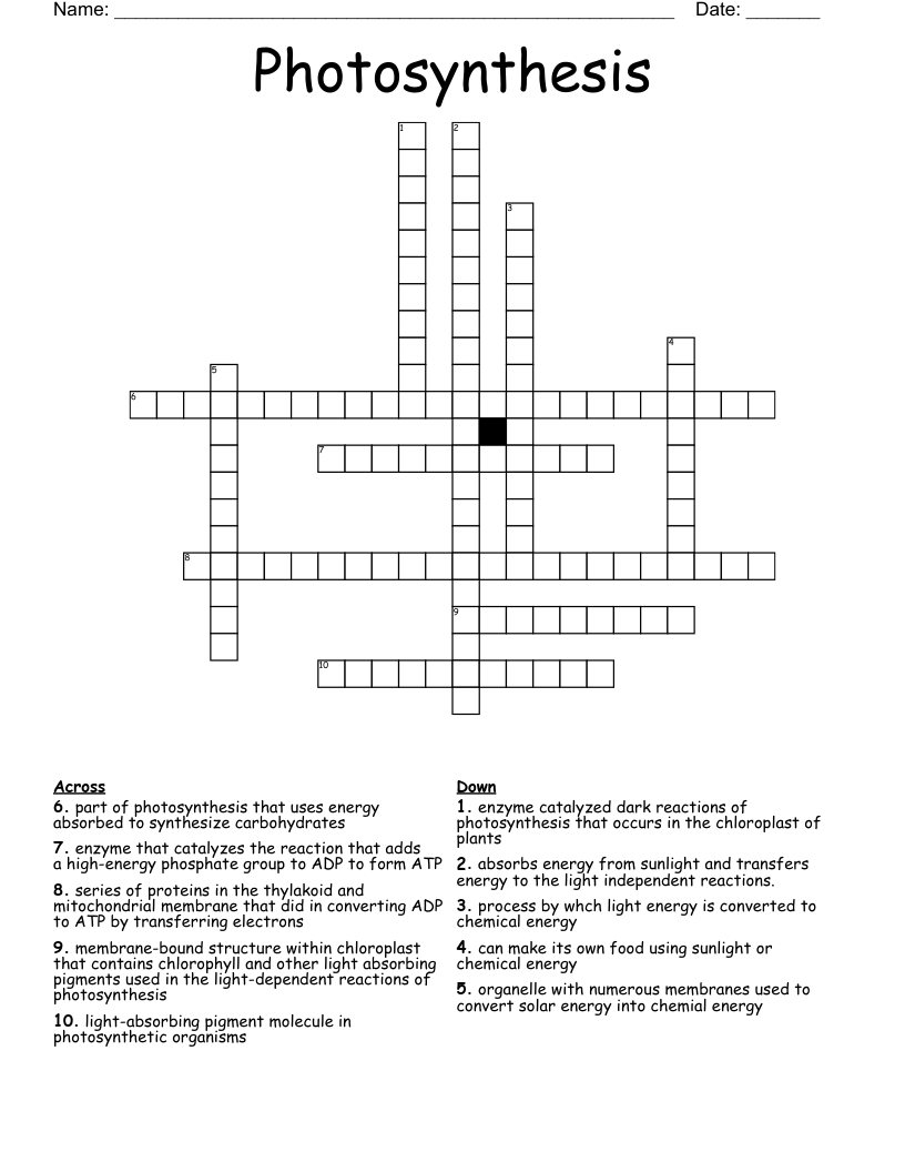 Photosynthesis Crossword