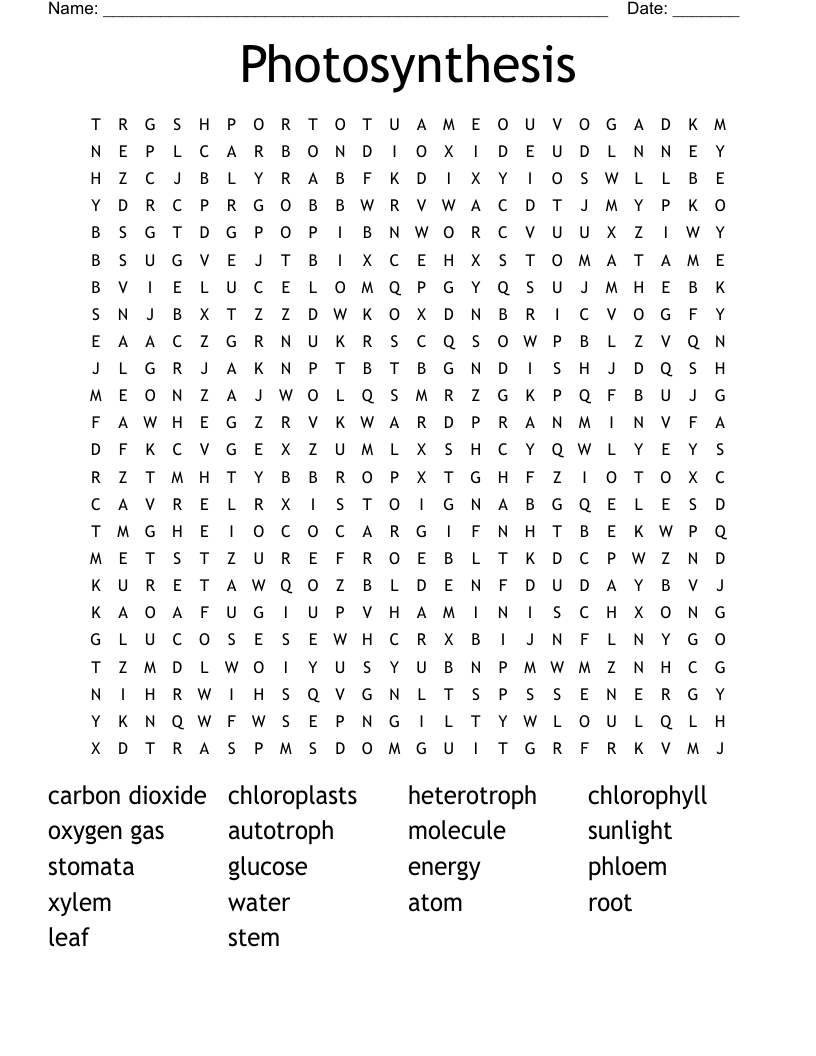 Photosynthesis Word Search