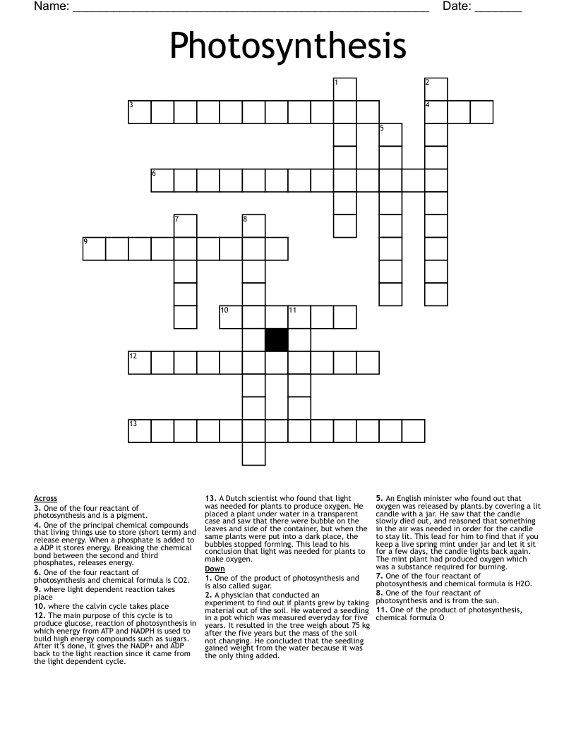 Photosynthesis Crossword
