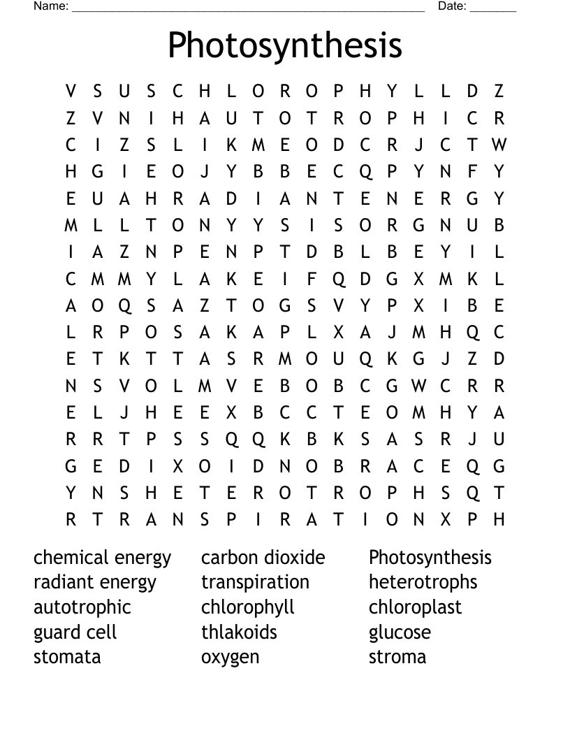 Photosynthesis Word Search
