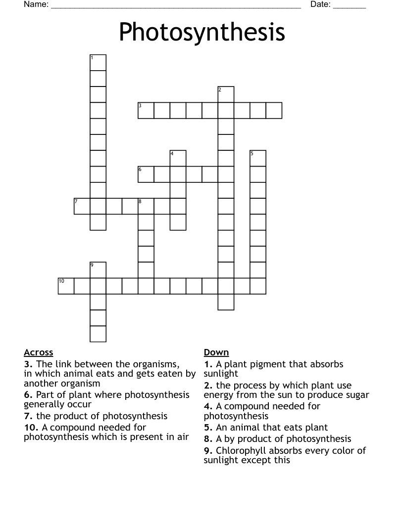 Photosynthesis Crossword