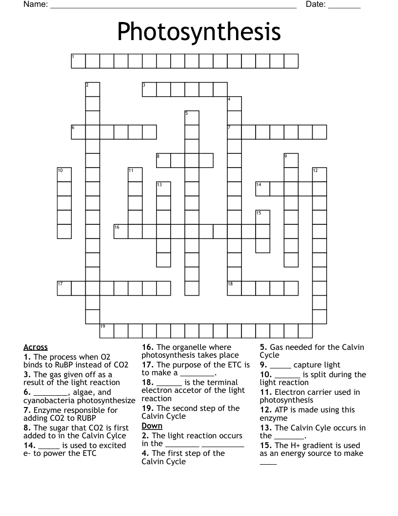 Photosynthesis Crossword