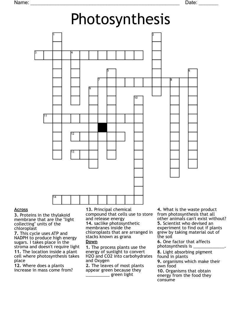 Photosynthesis Crossword