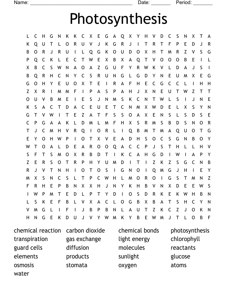 Photosynthesis Word Search