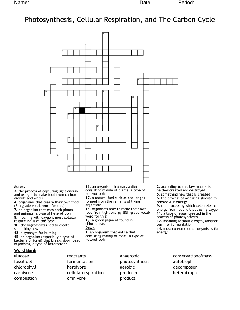 Photosynthesis, Cellular Respiration, and The Carbon Cycle Crossword